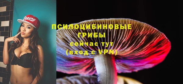 кристаллы Белокуриха